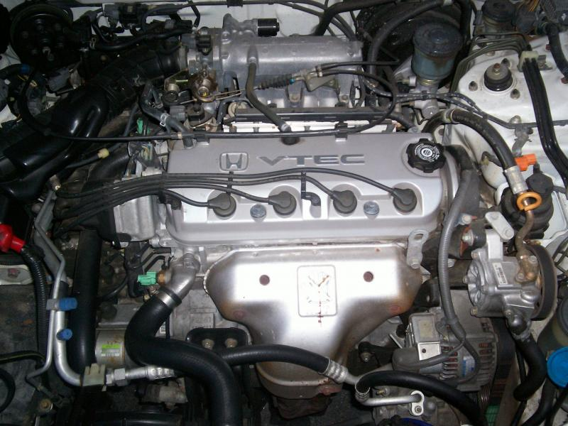 Illustration for article titled Honda Accord vs. Honda Accord Comparo